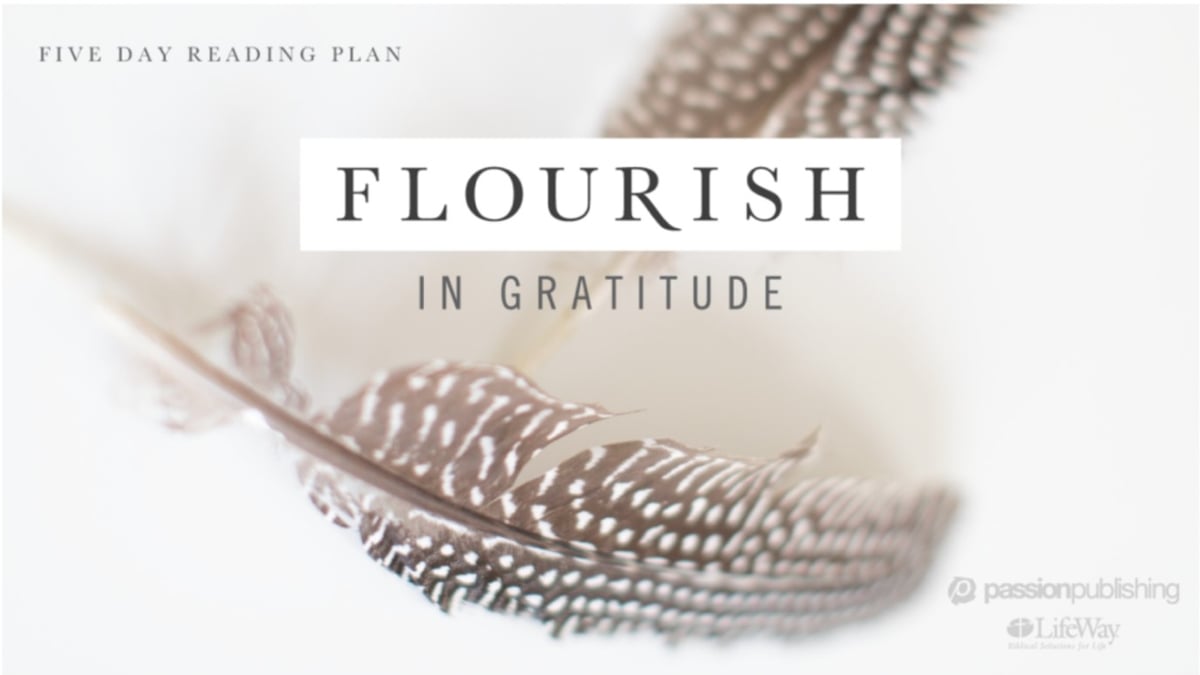 Flourish In Gratitude-1-OriginalWithCut-774x1376-90-CardBanner